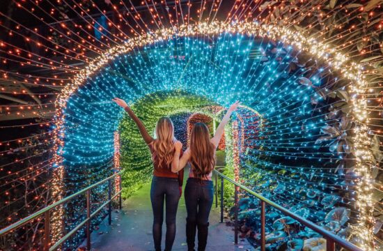 winter holiday in Atlanta's botanical gardens tunnel of lights