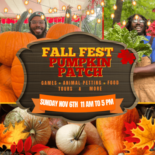 people gathered around a atlanta fall festival sign