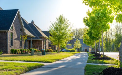 image of a sunny and calm neighborhood sidewalk with rows of upper middle class homes.